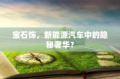 宝石饰，新能源汽车中的隐秘奢华？