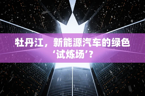 牡丹江，新能源汽车的绿色‘试炼场’？