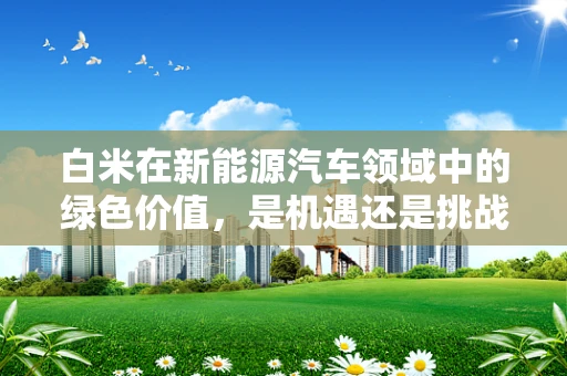 白米在新能源汽车领域中的绿色价值，是机遇还是挑战？