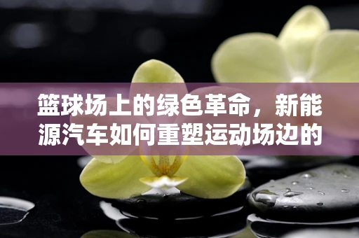 篮球场上的绿色革命，新能源汽车如何重塑运动场边的能源景观？