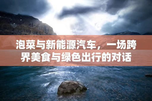 泡菜与新能源汽车，一场跨界美食与绿色出行的对话