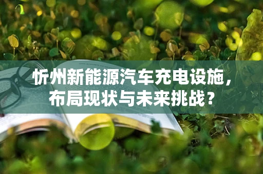 忻州新能源汽车充电设施，布局现状与未来挑战？