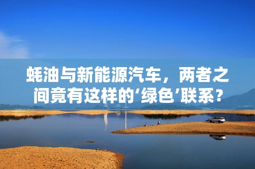 蚝油与新能源汽车，两者之间竟有这样的‘绿色’联系？