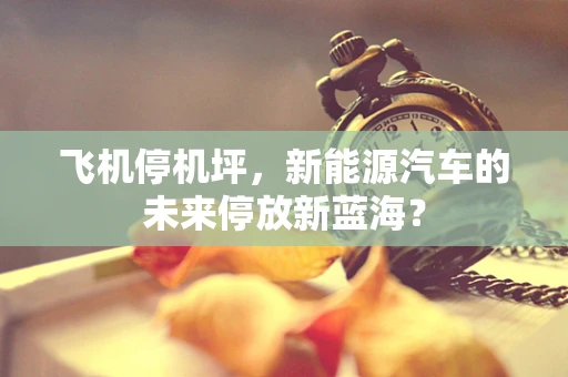 飞机停机坪，新能源汽车的未来停放新蓝海？