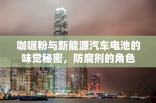 咖喱粉与新能源汽车电池的味觉秘密，防腐剂的角色