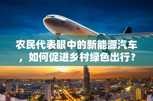 农民代表眼中的新能源汽车，如何促进乡村绿色出行？