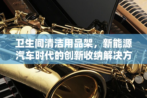 卫生间清洁用品架，新能源汽车时代的创新收纳解决方案？