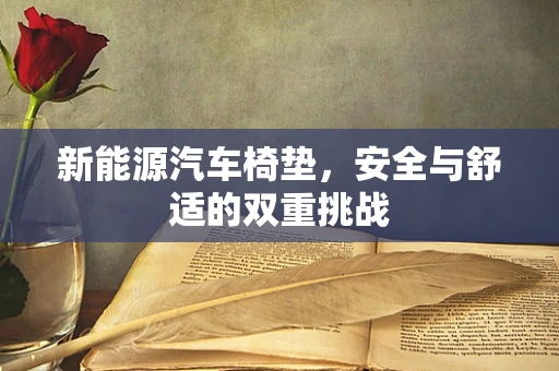 新能源汽车椅垫，安全与舒适的双重挑战