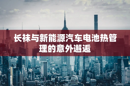 长袜与新能源汽车电池热管理的意外邂逅