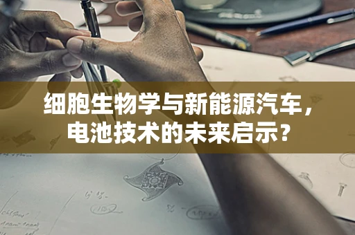 细胞生物学与新能源汽车，电池技术的未来启示？