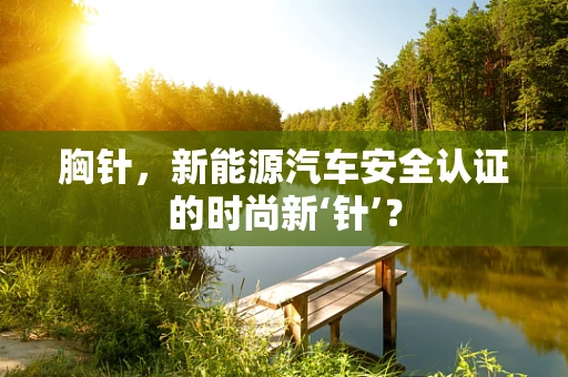胸针，新能源汽车安全认证的时尚新‘针’？