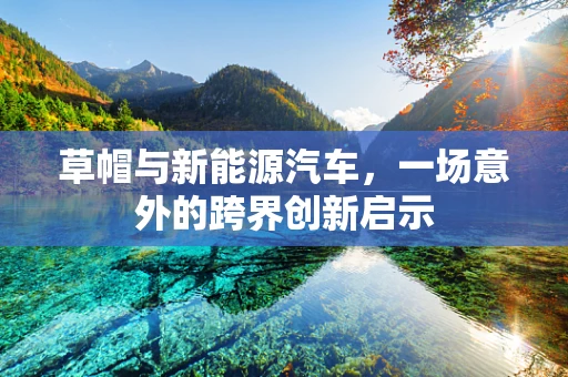 草帽与新能源汽车，一场意外的跨界创新启示
