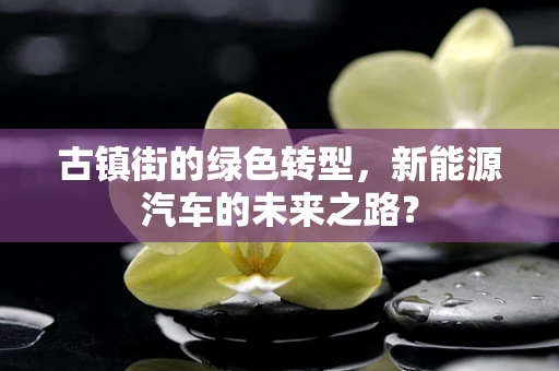 古镇街的绿色转型，新能源汽车的未来之路？