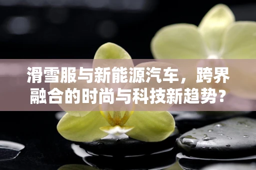 滑雪服与新能源汽车，跨界融合的时尚与科技新趋势？