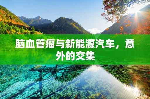 脑血管瘤与新能源汽车，意外的交集