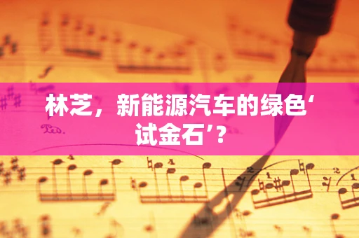 林芝，新能源汽车的绿色‘试金石’？