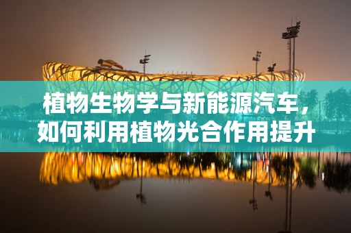 植物生物学与新能源汽车，如何利用植物光合作用提升电池效率？