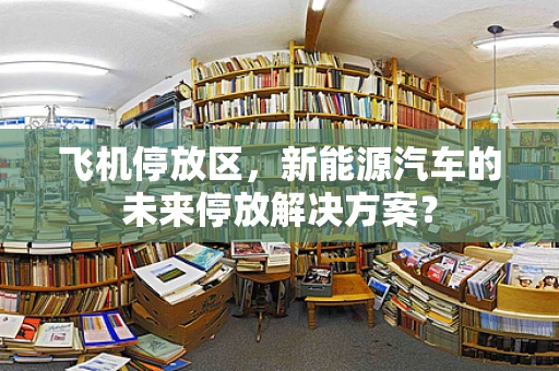 飞机停放区，新能源汽车的未来停放解决方案？