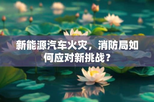新能源汽车火灾，消防局如何应对新挑战？
