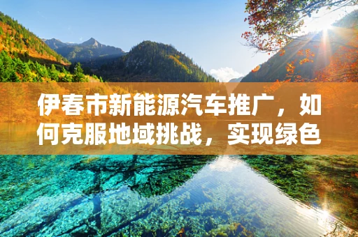 伊春市新能源汽车推广，如何克服地域挑战，实现绿色出行？