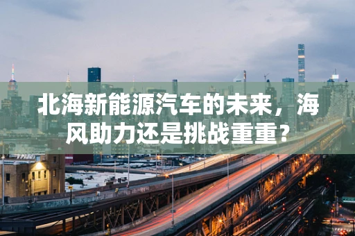 北海新能源汽车的未来，海风助力还是挑战重重？