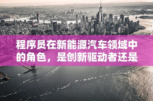 程序员在新能源汽车领域中的角色，是创新驱动者还是技术守护者？