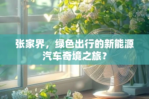 张家界，绿色出行的新能源汽车奇境之旅？