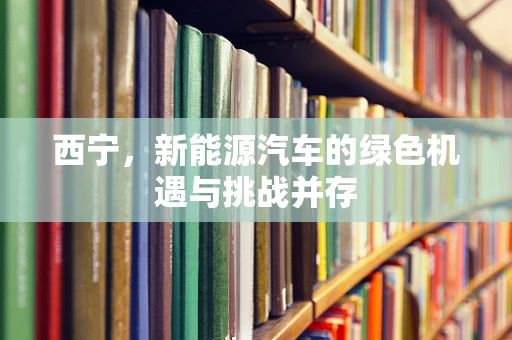西宁，新能源汽车的绿色机遇与挑战并存