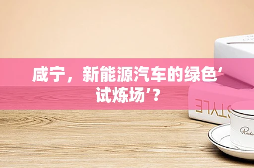 咸宁，新能源汽车的绿色‘试炼场’？