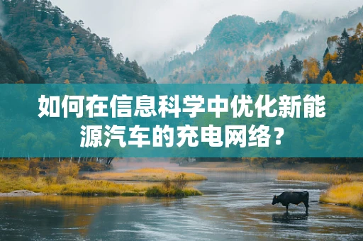 如何在信息科学中优化新能源汽车的充电网络？