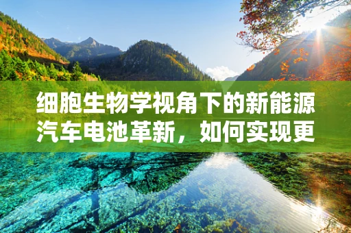 细胞生物学视角下的新能源汽车电池革新，如何实现更高效的能量转换？