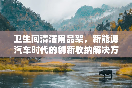 卫生间清洁用品架，新能源汽车时代的创新收纳解决方案？