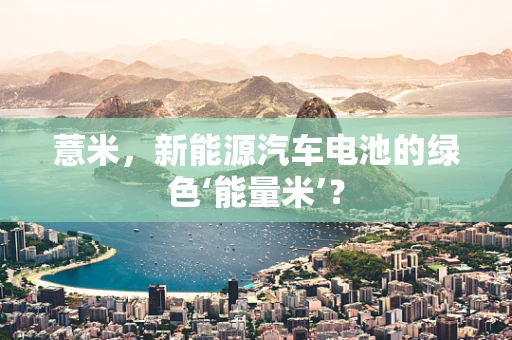 薏米，新能源汽车电池的绿色‘能量米’？
