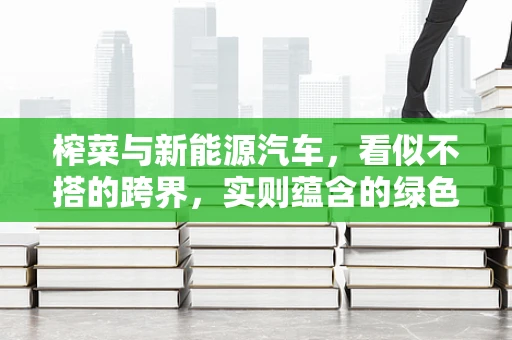 榨菜与新能源汽车，看似不搭的跨界，实则蕴含的绿色出行智慧？