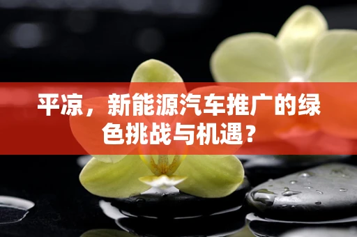 平凉，新能源汽车推广的绿色挑战与机遇？