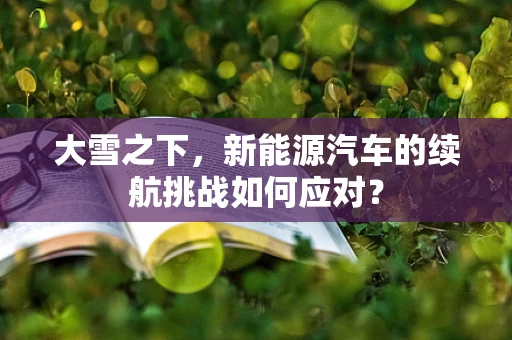 大雪之下，新能源汽车的续航挑战如何应对？