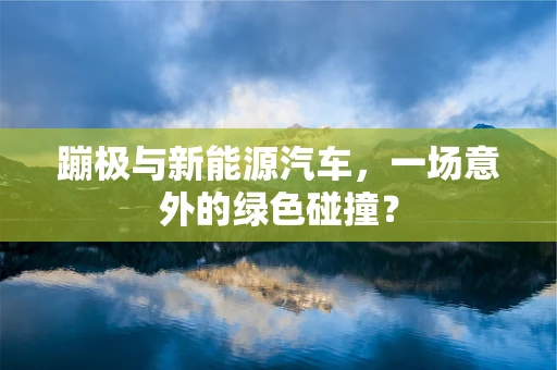 蹦极与新能源汽车，一场意外的绿色碰撞？