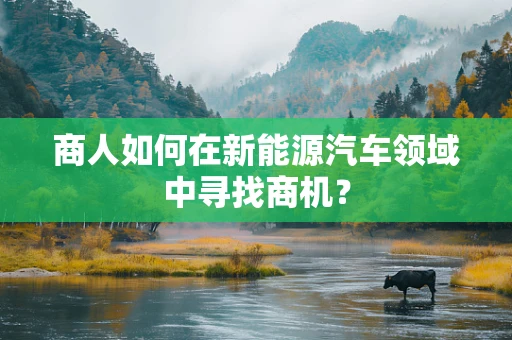 商人如何在新能源汽车领域中寻找商机？