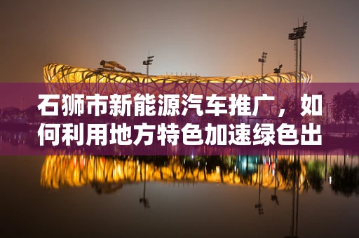 石狮市新能源汽车推广，如何利用地方特色加速绿色出行？
