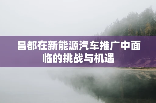 昌都在新能源汽车推广中面临的挑战与机遇