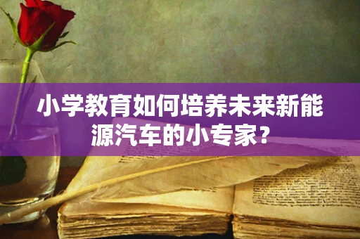 小学教育如何培养未来新能源汽车的小专家？