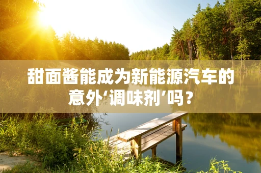 甜面酱能成为新能源汽车的意外‘调味剂’吗？