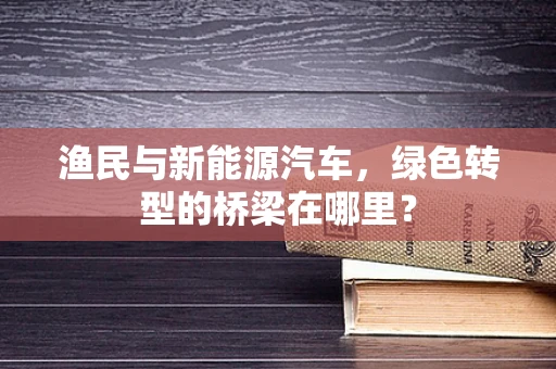 渔民与新能源汽车，绿色转型的桥梁在哪里？