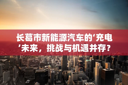长葛市新能源汽车的‘充电’未来，挑战与机遇并存？
