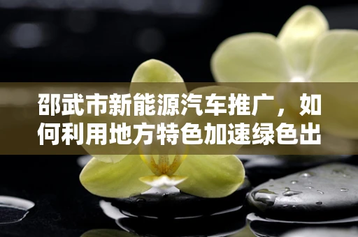 邵武市新能源汽车推广，如何利用地方特色加速绿色出行？