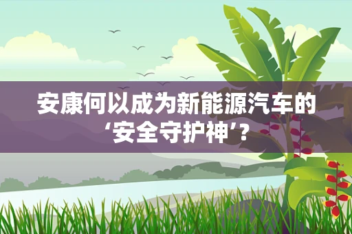 安康何以成为新能源汽车的‘安全守护神’？