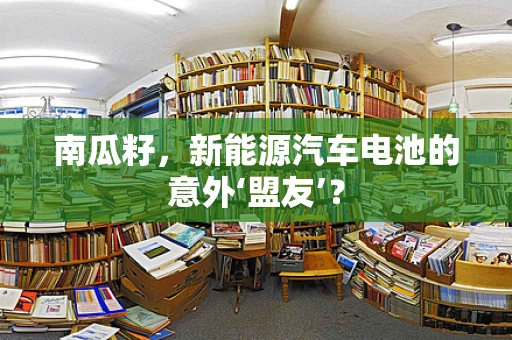 南瓜籽，新能源汽车电池的意外‘盟友’？