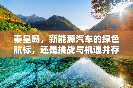 秦皇岛，新能源汽车的绿色航标，还是挑战与机遇并存的试验场？