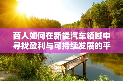 商人如何在新能汽车领域中寻找盈利与可持续发展的平衡点？