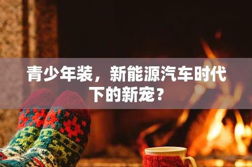 青少年装，新能源汽车时代下的新宠？
